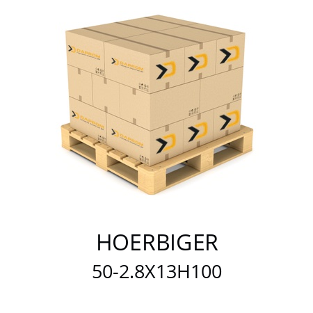   HOERBIGER 50-2.8X13H100