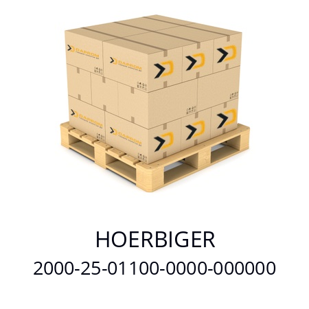   HOERBIGER 2000-25-01100-0000-000000