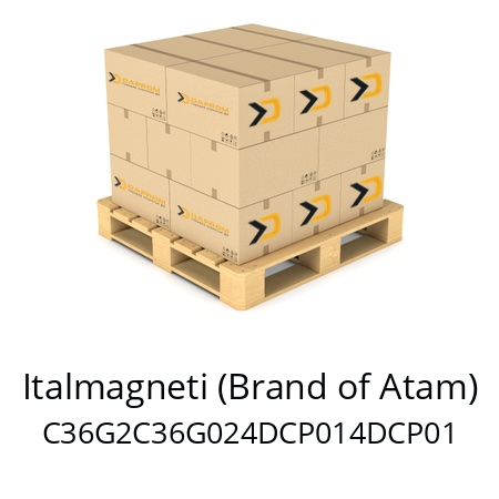   Italmagneti (Brand of Atam) C36G2C36G024DCP014DCP01