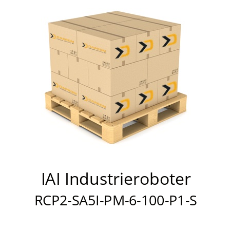  RCP2-SA5I-PM-6-100-P1-S IAI Industrieroboter 