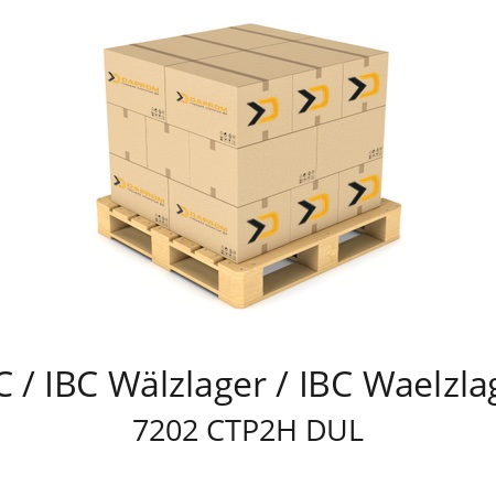   IBC / IBC Wälzlager / IBC Waelzlager 7202 CTP2H DUL