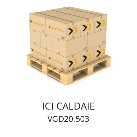   ICI CALDAIE VGD20.503