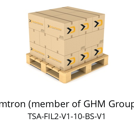   Imtron (member of GHM Group) TSA-FIL2-V1-10-BS-V1