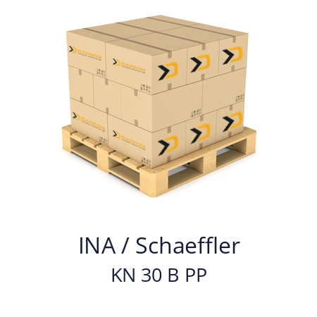   INA / Schaeffler KN 30 B PP