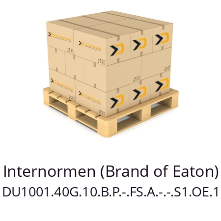   Internormen (Brand of Eaton) DU1001.40G.10.B.P.-.FS.A.-.-.S1.OE.1