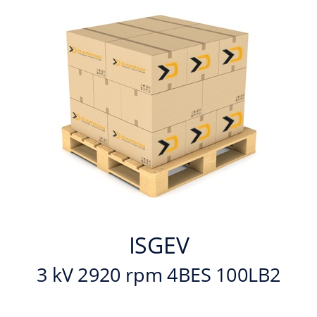   ISGEV 3 kV 2920 rpm 4BES 100LB2