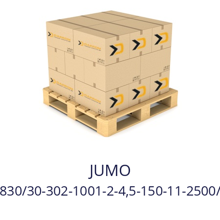   JUMO 902830/30-302-1001-2-4,5-150-11-2500/000