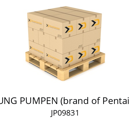   JUNG PUMPEN (brand of Pentair) JP09831