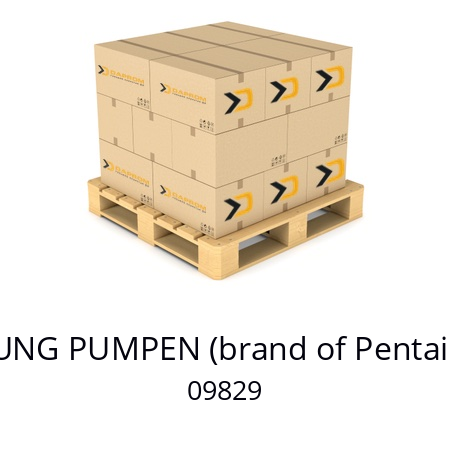   JUNG PUMPEN (brand of Pentair) 09829