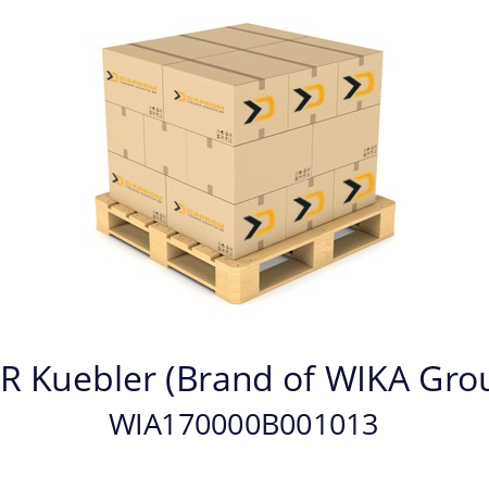  ZT3716.00 KSR Kuebler (Brand of WIKA Group) WIA170000B001013