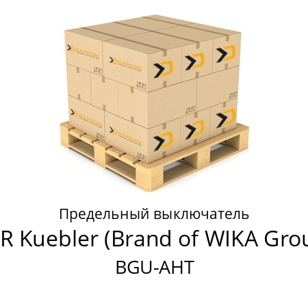 Предельный выключатель BGU-AHT KSR Kuebler (Brand of WIKA Group) 