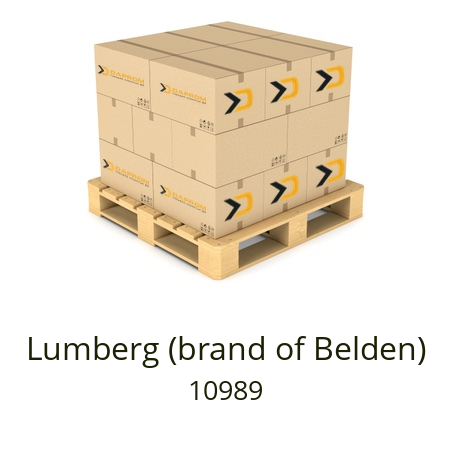   Lumberg (brand of Belden) 10989