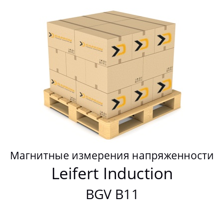 Магнитные измерения напряженности BGV B11 Leifert Induction 