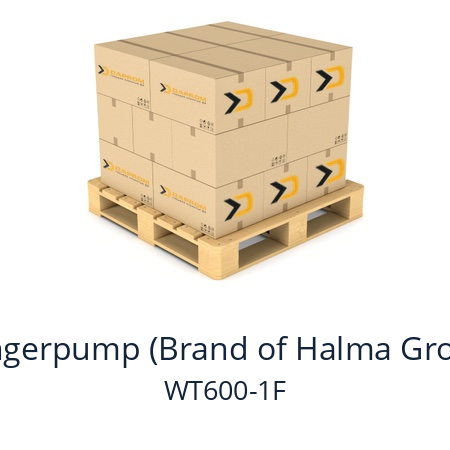   Longerpump (Brand of Halma Group) WT600-1F