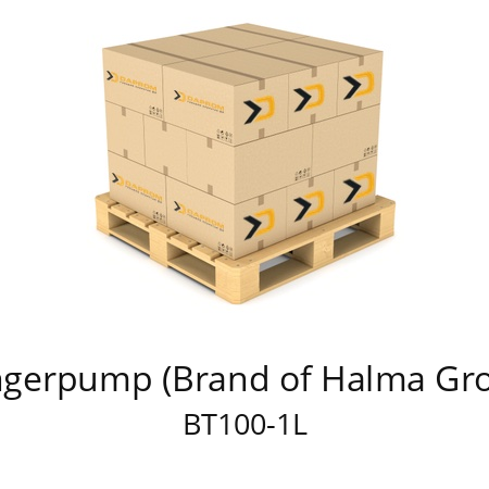   Longerpump (Brand of Halma Group) ВТ100-1L