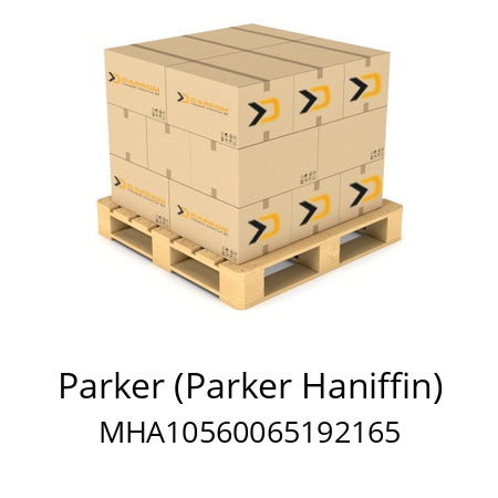   Parker (Parker Haniffin) MHA10560065192165