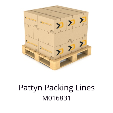   Pattyn Packing Lines M016831