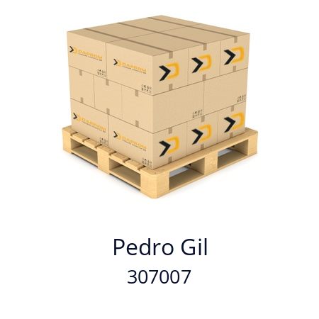   Pedro Gil 307007