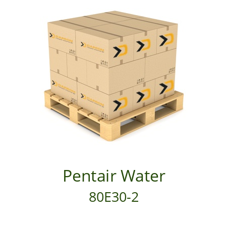   Pentair Water 80E30-2