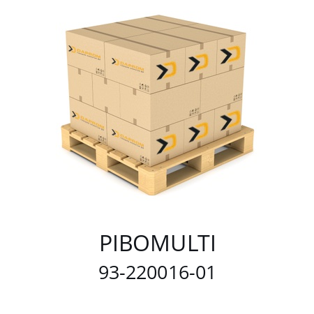   PIBOMULTI 93-220016-01