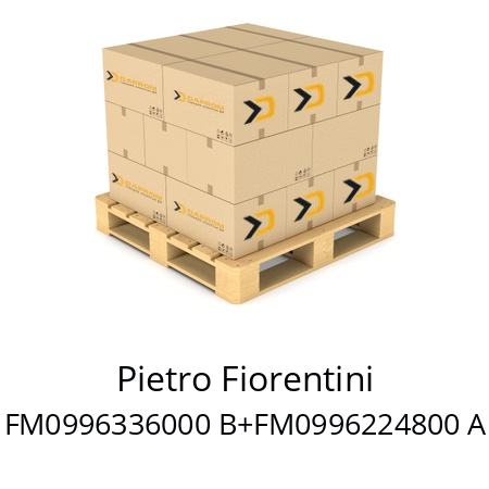   Pietro Fiorentini FM0996336000 B+FM0996224800 A