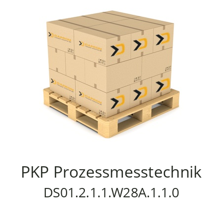   PKP Prozessmesstechnik DS01.2.1.1.W28A.1.1.0