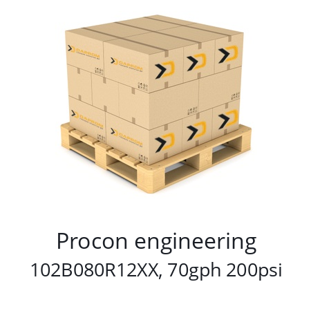   Procon engineering 102B080R12XX, 70gph 200psi