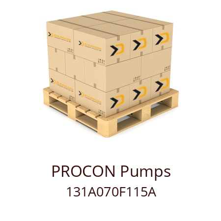   PROCON Pumps 131A070F115A