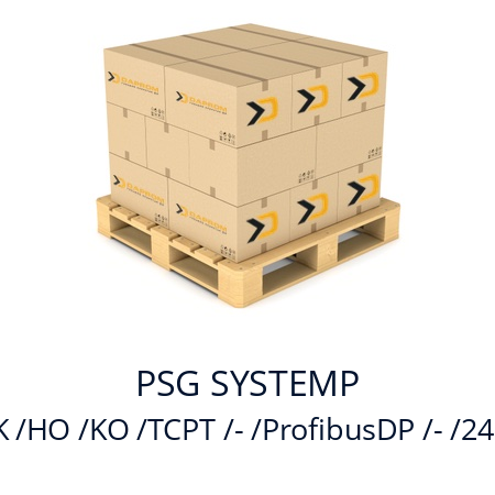   PSG SYSTEMP ETR132II GK /HO /KO /TCPT /- /ProfibusDP /- /24V   (020503)