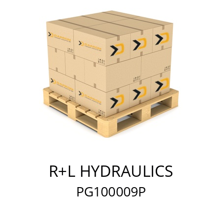   R+L HYDRAULICS PG100009P