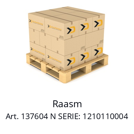   Raasm Art. 137604 N SERIE: 1210110004