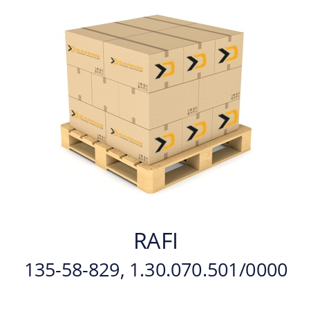   RAFI 135-58-829, 1.30.070.501/0000