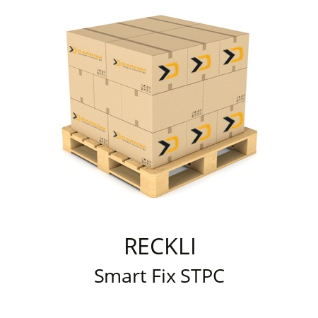   RECKLI Smart Fix STPC