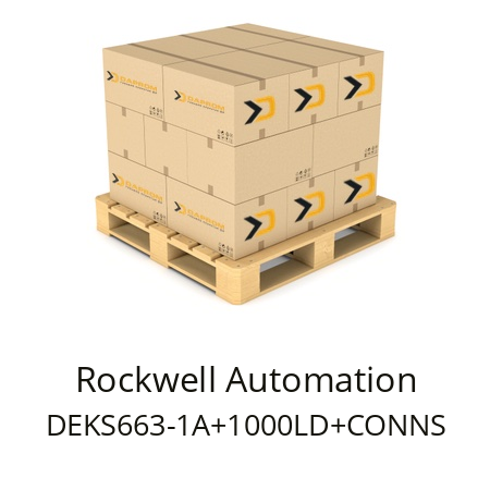  DEKS663-1A+1000LD+CONNS Rockwell Automation 