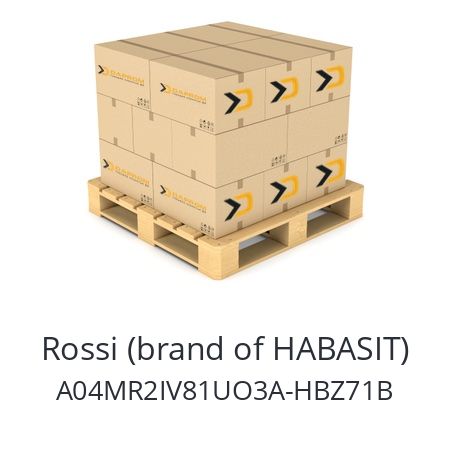   Rossi (brand of HABASIT) A04MR2IV81UO3A-HBZ71B