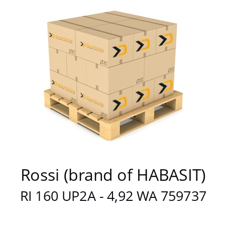   Rossi (brand of HABASIT) RI 160 UP2A - 4,92 WA 759737