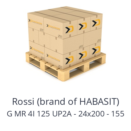   Rossi (brand of HABASIT) G MR 4I 125 UP2A - 24x200 - 155