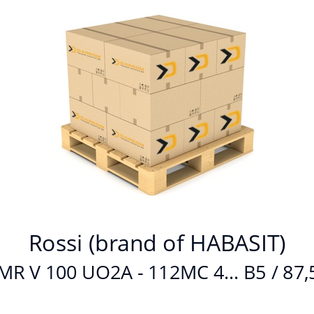   Rossi (brand of HABASIT) MR V 100 UO2A - 112MC 4... B5 / 87,5