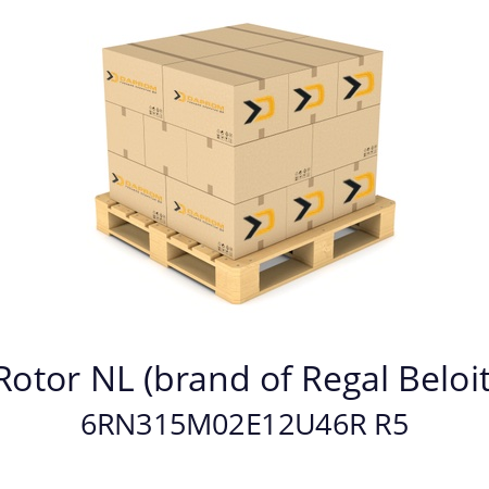  6RN315M02E12 Rotor NL (brand of Regal Beloit) 6RN315M02E12U46R R5