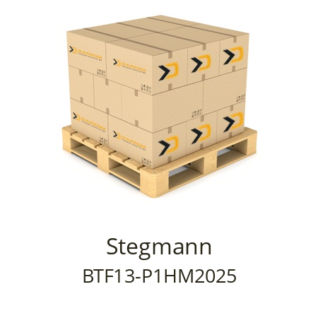  BTF13-P1HM2025 Stegmann 