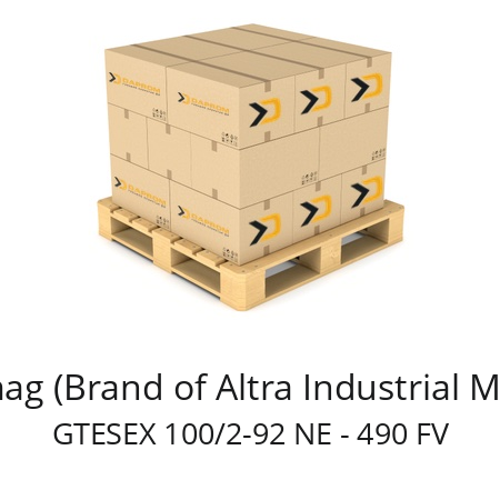   Stromag (Brand of Altra Industrial Motion) GTESEX 100/2-92 NE - 490 FV