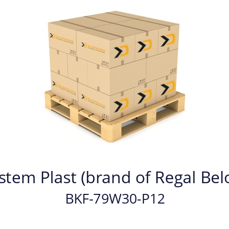   System Plast (brand of Regal Beloit) BKF-79W30-P12