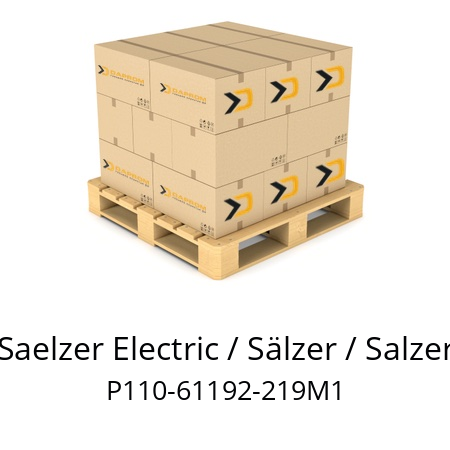   Saelzer Electric / Sälzer / Salzer P110-61192-219M1