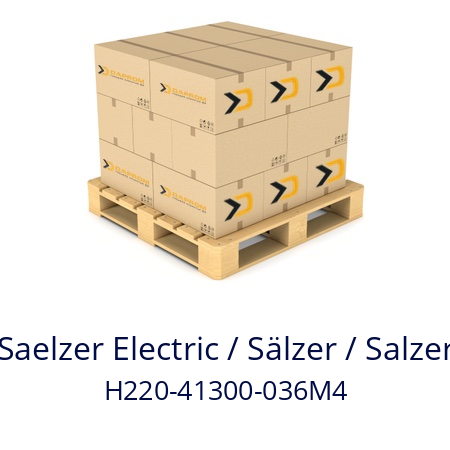   Saelzer Electric / Sälzer / Salzer H220-41300-036M4