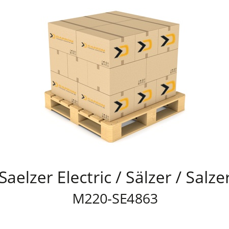   Saelzer Electric / Sälzer / Salzer M220-SE4863