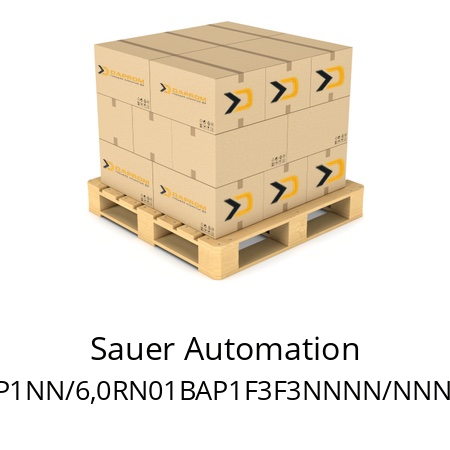   Sauer Automation SNP1NN/6,0RN01BAP1F3F3NNNN/NNNNN