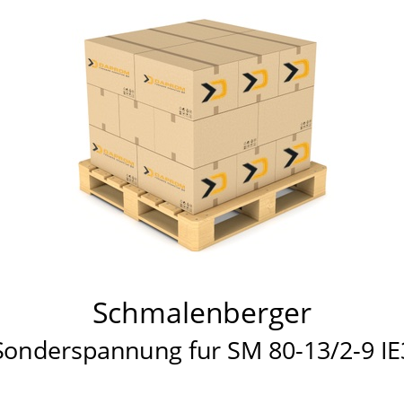   Schmalenberger Sonderspannung fur SM 80-13/2-9 IE3