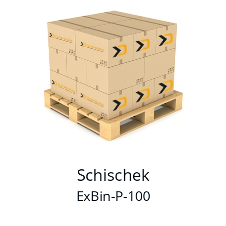   Schischek ExBin-P-100