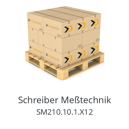   Schreiber Meßtechnik SM210.10.1.X12