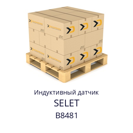 Индуктивный датчик B8481 SELET 